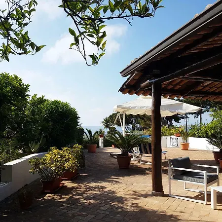 Del Sogno * Parghelia