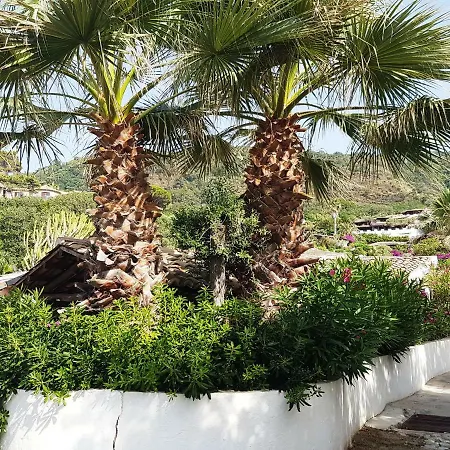 빌라 Del Sogno 파르겔리아