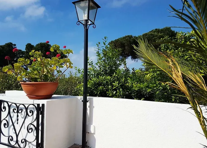 Del Sogno * Parghelia